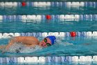 Swimming vs Bentley  Wheaton College Swimming & Diving vs Bentley College. - Photo by Keith Nordstrom : Wheaton, Swimming & Diving